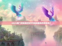 2025澳门灵码表历史开奖数据真的存在吗？