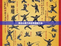 各式心意六合彩拳图解大全