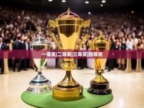 一等奖|二等奖|三等奖|四等奖