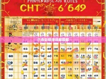 六合彩规律详解图解