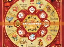 地支六合彩分析图解