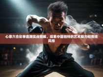 心意六合彩拳套路实战图解,探索中国独特的艺术魅力和竞技风格