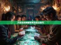 六合彩的神秘世界与投注技巧