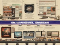 揭秘六合彩规律图库网站，揭秘隐藏的玄机