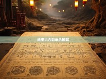地支六合彩半合图解