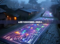 山西六合彩村,最新的数字足迹,新人数统计与未来展望