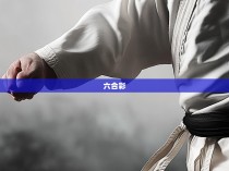 六合彩拳肘法图解
