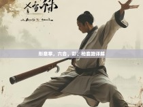 形意拳，六合、彩、枪套路详解