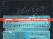 我要看澳门六合资料历史记录吗？真相和查询方式揭秘