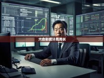 六合彩统计局局长，数据背后的故事与责任
