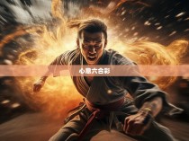 心意六合彩，拳力无边，图解实战技巧