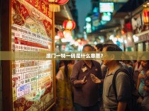 澳门一特一码是什么意思？