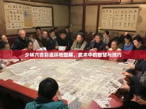 少林六合彩连环枪图解，武术中的智慧与技巧