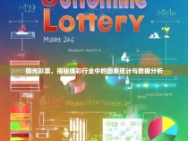 阳光彩票，揭秘博彩行业中的图表统计与数据分析