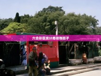 六合彩区统计局领导班子,以卓越智慧引领工作创新与改革