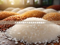 大米照片图片大全高清资源哪里找？