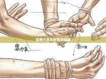 实用六合彩肘套路图解