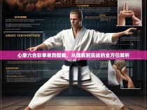 心意六合彩拳单势图解，从理解到实战的全方位解析