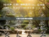 心意六合彩拳肘法图解