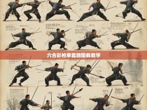 六合彩枪拳套路图解教学