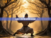 心意六合彩拳绝枝练法图解
