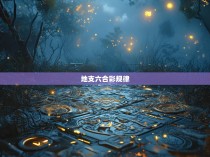 地支六合彩的神秘与奥秘