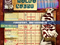 六合彩选号技巧，揭秘六合彩抉报公式