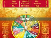 六合彩规律网站揭秘，揭秘彩票投注的奥秘与策略