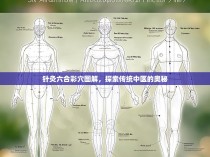 针灸六合彩穴图解，探索传统中医的奥秘