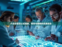 六合彩固定公式揭秘，概率与策略的完美结合