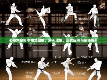 心意六合彩拳招式图解,深入理解、实战应用与策略解析