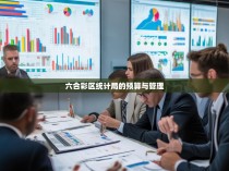 六合彩区统计局的预算与管理