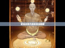 武当正宗六合彩功法图解