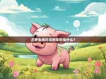 三岁生肖对应的年份是什么？