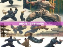 全国心意六合彩拳功法图解