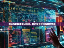 新六合彩规律网站揭秘，揭示投注技巧与风险警示