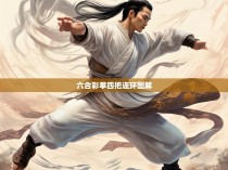 六合彩拳四把连环图解