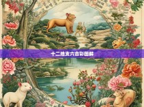 十二地支六合彩图解