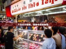 六合彩针图解，揭秘中奖的秘密
