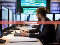 六合彩统计员招聘信息，寻找精准的数字达人