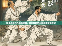 杨氏心意六合彩拳图解，探索神秘的中国传统赌博游戏