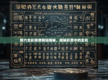 新六合彩规律网站揭秘，揭秘彩票中的玄机