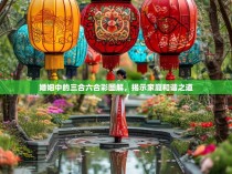 婚姻中的三合六合彩图解，揭示家庭和谐之道