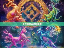 十二地支六合彩规律