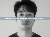 851212红姐图库大全安全吗？是否存在隐私泄露风险？