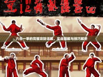 六合一拳的完整攻防详解，实战图解与技巧解析