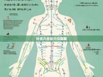 针灸六合彩穴位图解