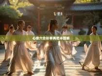 心意六合彩拳两把半图解