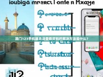 澳门123手机端无法查看资料的解决方法是什么？