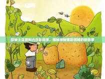 探秘土豆原创六合彩规律，揭秘神秘博彩领域的新鲜事